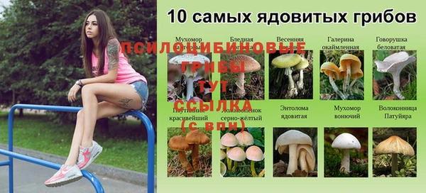 метадон Алзамай