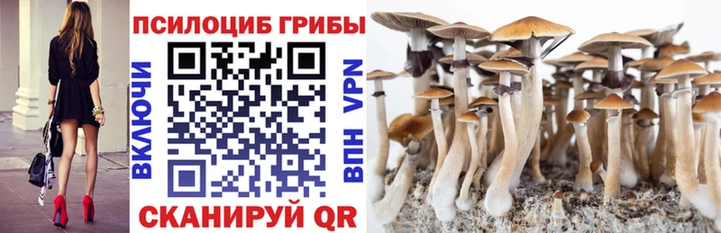 Галлюциногенные грибы GOLDEN TEACHER  закладки  Котельнич 